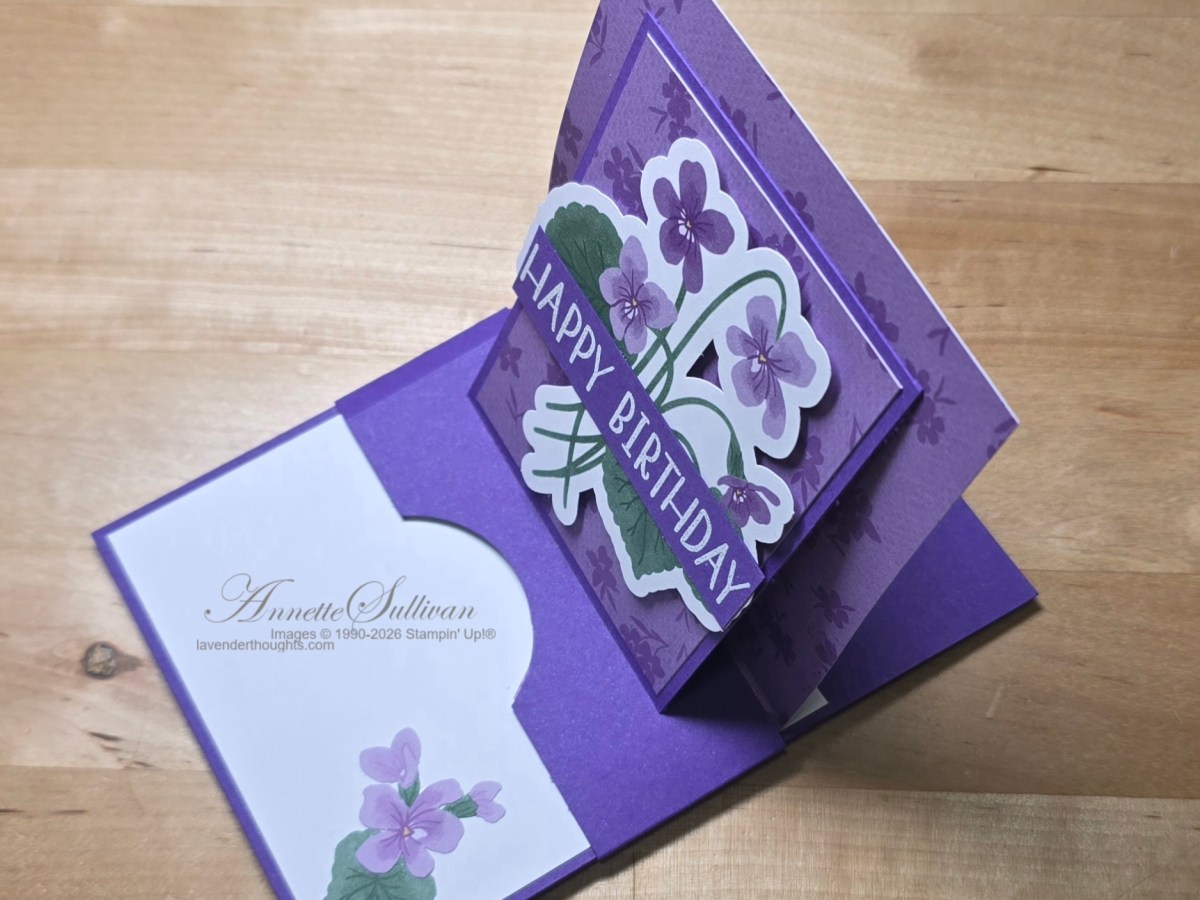 VIDEO for Fancy Fold Pop Up Slider Easel&nbsp;Cards